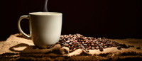 Coffee - A Beginner's Introduction - 3 Samples
