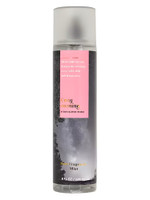 Cozy Evening Bath & Body Works Fine Fragrance Mist sample & decant