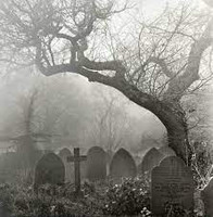 Graveyard Sampler, perfume samples