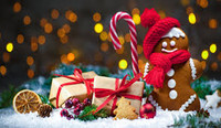 All is Bright Holiday Sampler - Set of Seven 1/2ml Samples