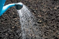 Dampened Soil Beginner Sampler, wet soil, perfume samples, perfume decants